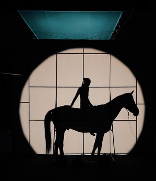 GASANOVA | Зйомка з конем | Павільйон для зйомок за лошадьми | Фотостудія для зйомок з тваринами | чорний павільйон для зйомок з лошадьми | зйомки з тваринами оренда ціна | Оренда чорного павільйону | Зйомка з конем фотостудія |