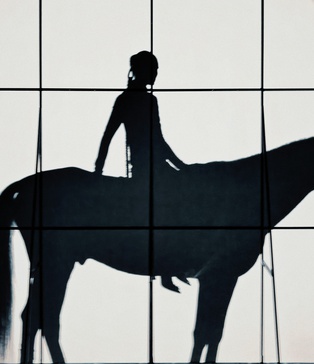 GASANOVA | Фотостудія для зйомок з тваринами | чорний павільйон для зйомок з лошадьми | зйомки з тваринами оренда ціна