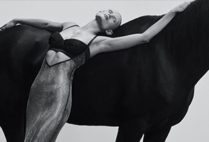 Зйомка для бренду GASANOVA з чорним конем в фотостудії | фотограф Денис Маноха